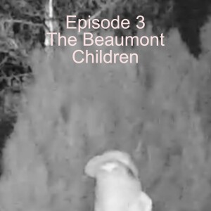 Episode 3 - The Beaumont Children Disappearance