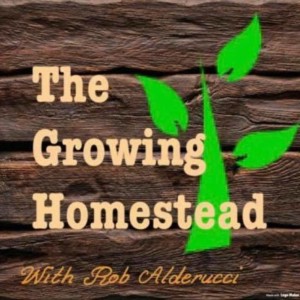 The Growing Homestead