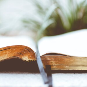 Ryan - Philippians 4:7-9 (August 8, 2023)