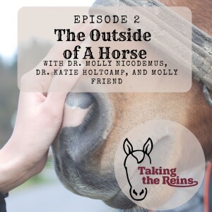 The Outside of a Horse