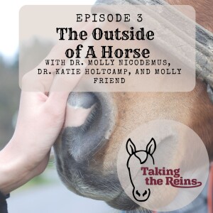 The Outside of a Horse, part 2