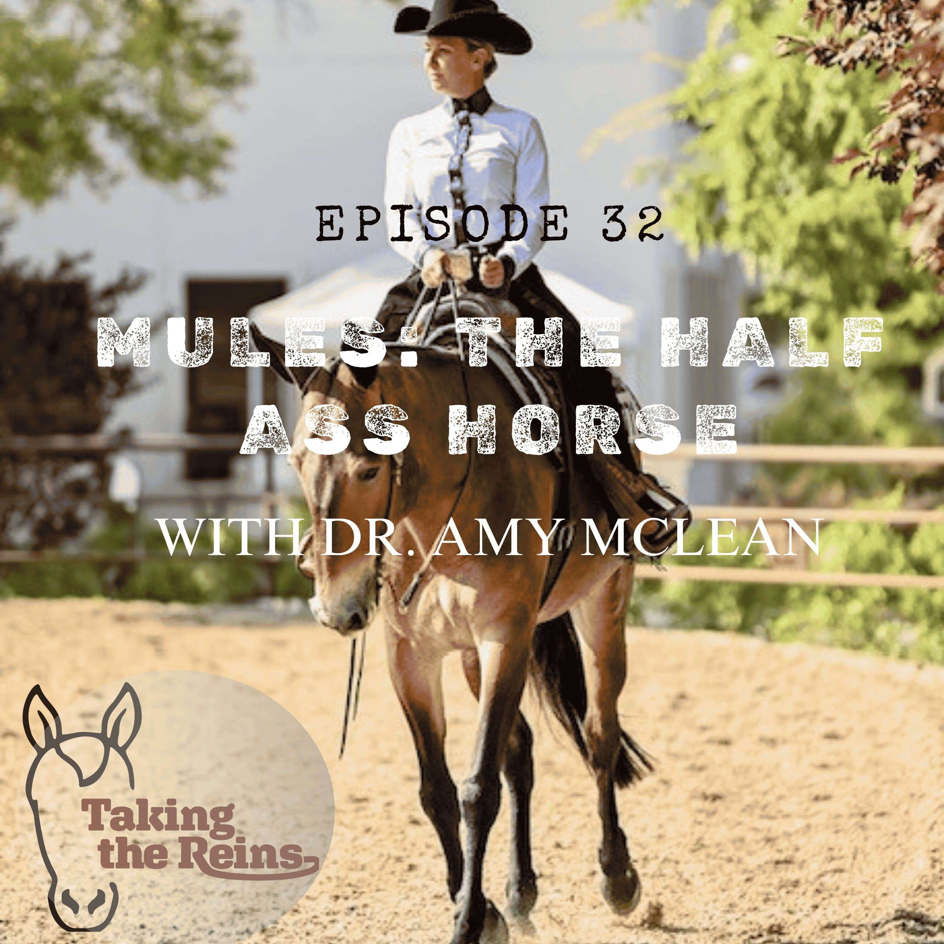 Taking the Reins with Clay Cavinder