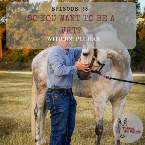 So You Want to be a Vet? with Dr. Joe Pluhar