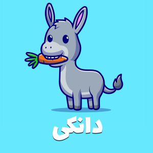 دانکی