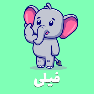 فیـلی