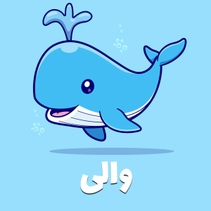 والـی