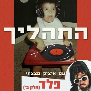 פרק 2 - פלד - חלק ב