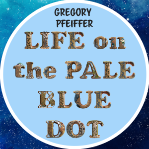 Life on the Pale Blue Dot - Conducting a Life Audit to show where you are in life.