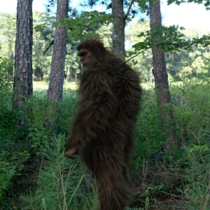 Episode 246 - Bigfoot in Michigan