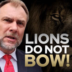 Lions Do Not Bow • The Todd Coconato Show