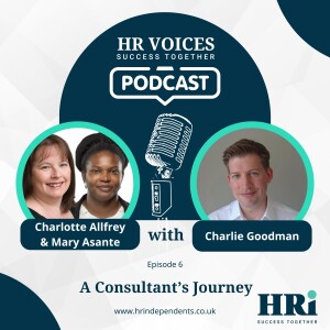 A Consultant’s Journey
