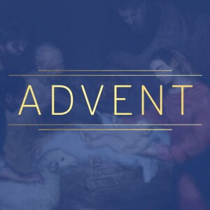 The Wisdom and Power of God