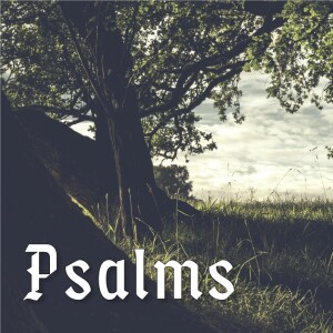 Praise is Worship