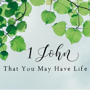 The Reason the Son of God Appeared