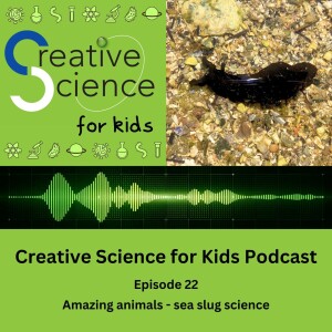 Amazing animals - sea slug science