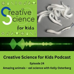 Amazing animals – eel science with Kelly Osterberg