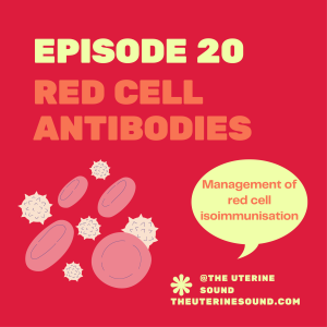 Episode 20: Red Cell Antibodies