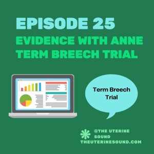 Episode 25: Evidence with Anne - The Term Breech Trial