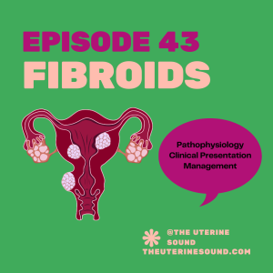 Episode 43: Fibroids