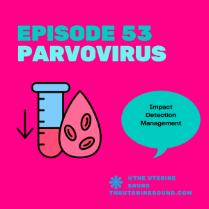 Episode 53: Parvovirus in Pregnancy