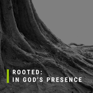 Rooted: In God's presence | John Filmer