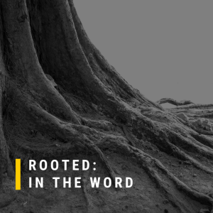 Rooted: In the Word | Joanne O'Sullivan