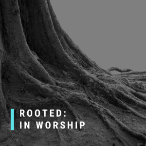 Rooted: In worship | John Filmer