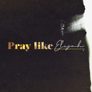 Pray like Elijah | John Filmer