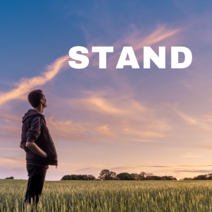 Stand In The Gap | Joanne O 'Sullivan