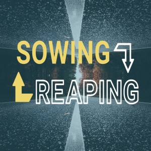 Sowing and reaping - John Filmer