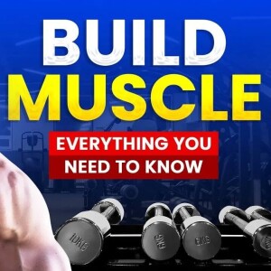 EVERYTHING You Want to Know About How to Build Muscle - Mark Ottobre