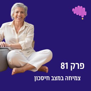 פרק 81 - צמיחה במצב חסכון