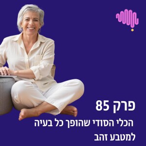 פרק 85 - הכלי הסודי שהופך כל בעיה למטבע זהב