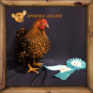 April Willis - Westman 4-H Poultry Club; Presented by Manitobaville, The Podcast