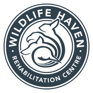 Wildlife Rehabilitation with Lisa Tretiak