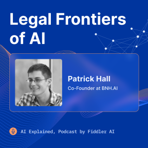 Legal Frontiers of AI with Patrick Hall