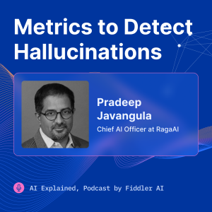 Metrics to Detect Hallucinations with Pradeep Javangula