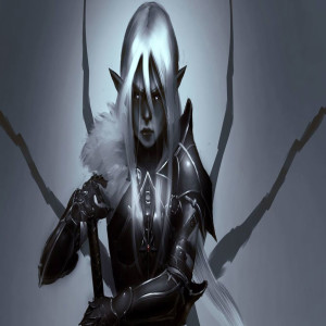 The Paladin of Lolth & The Feywild