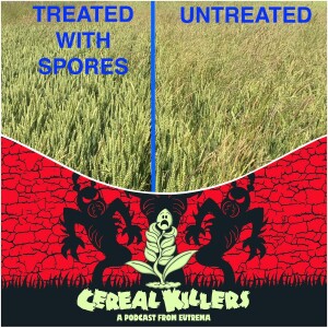 BIOLOGICAL WEAPONS AGAINST BLACK GRASS!