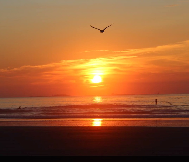 Sunrise, Seagulls and Surfers...My Memorable Saturday Morning!