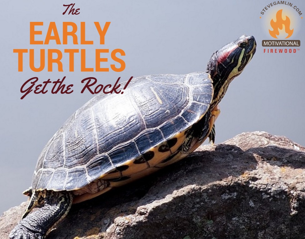 The Early Turtles (and Those Who Try Hardest) Get the Rock!