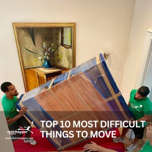TOP 10 MOST DIFFICULT THINGS TO MOVE