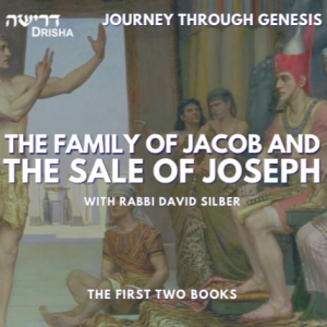 Journey Through Genesis: The Family of Jacob and The Sale of Joseph (5/5)