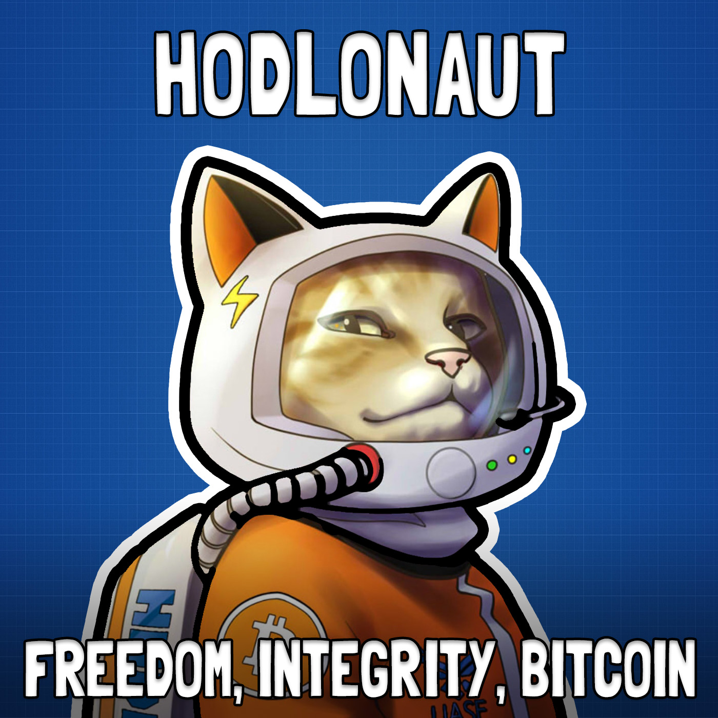 Freedom, Integrity, and Bitcoin with Hodlonaut - FFS #100