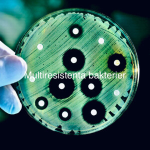 Multiresistenta bakterier