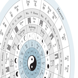 The Cosmology and Symbolism of the Twelve Organ Systems of Chinese Medicine
