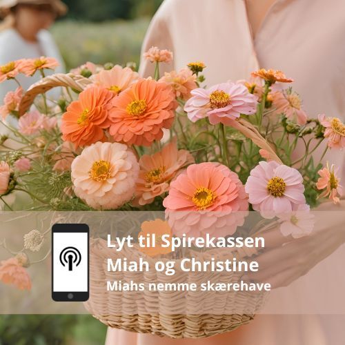 Miahs nemme skærehave 2025