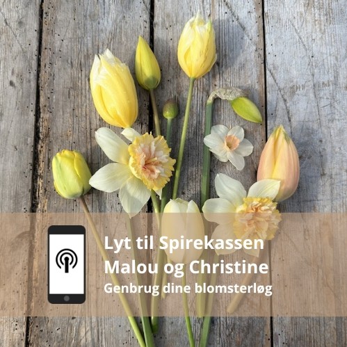 Genbrug af blomsterløg