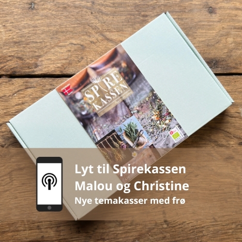 Nye frøkasser 2025