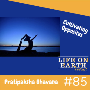 Cultivating Opposites ~ Pratipaksha Bhavana